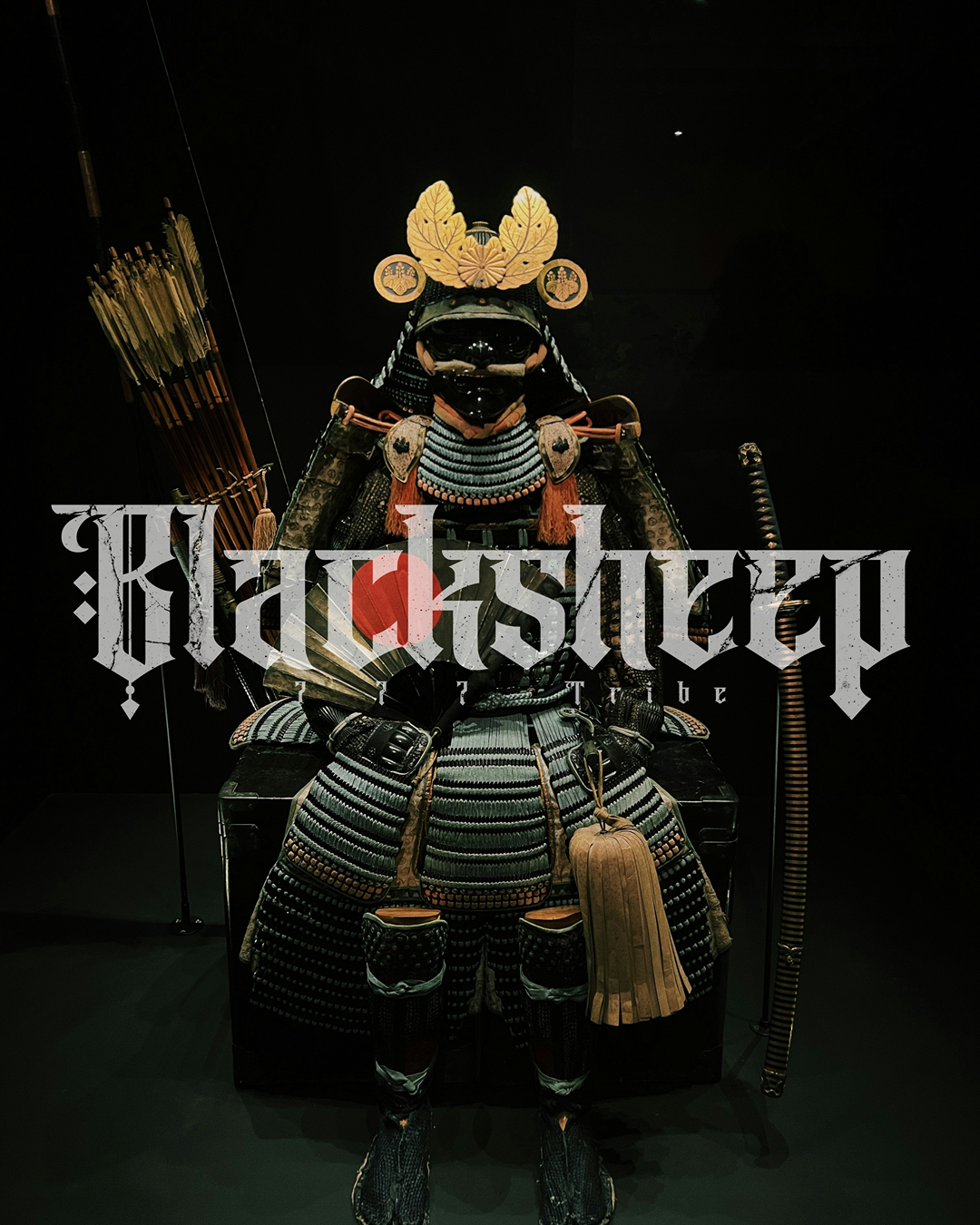 Japanese Traditional Crest Hoodie